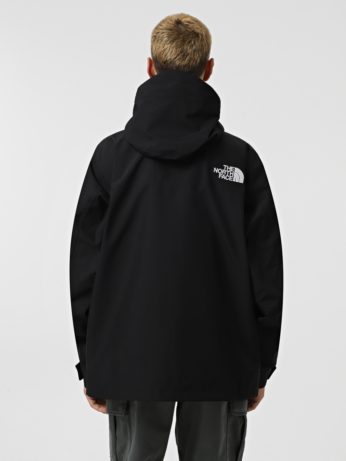 Демісезонна куртка The North Face GORE-TEX® Mountain модель NF0A831M4HF1 Фото