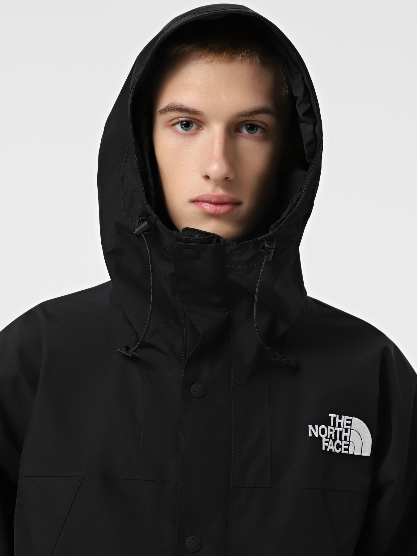 Демісезонна куртка The North Face GORE-TEX® Mountain модель NF0A831M4HF1 Фото