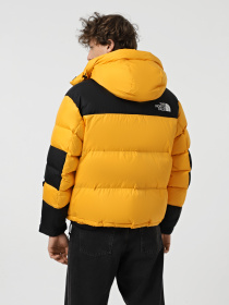 Зимова куртка The North Face Hmlyn Baltoro модель NF0A832G4WP1 Фото
