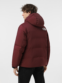 Зимова куртка The North Face Rmst Hmlyn Baltoro модель NF0A88KA1OO1 Фото