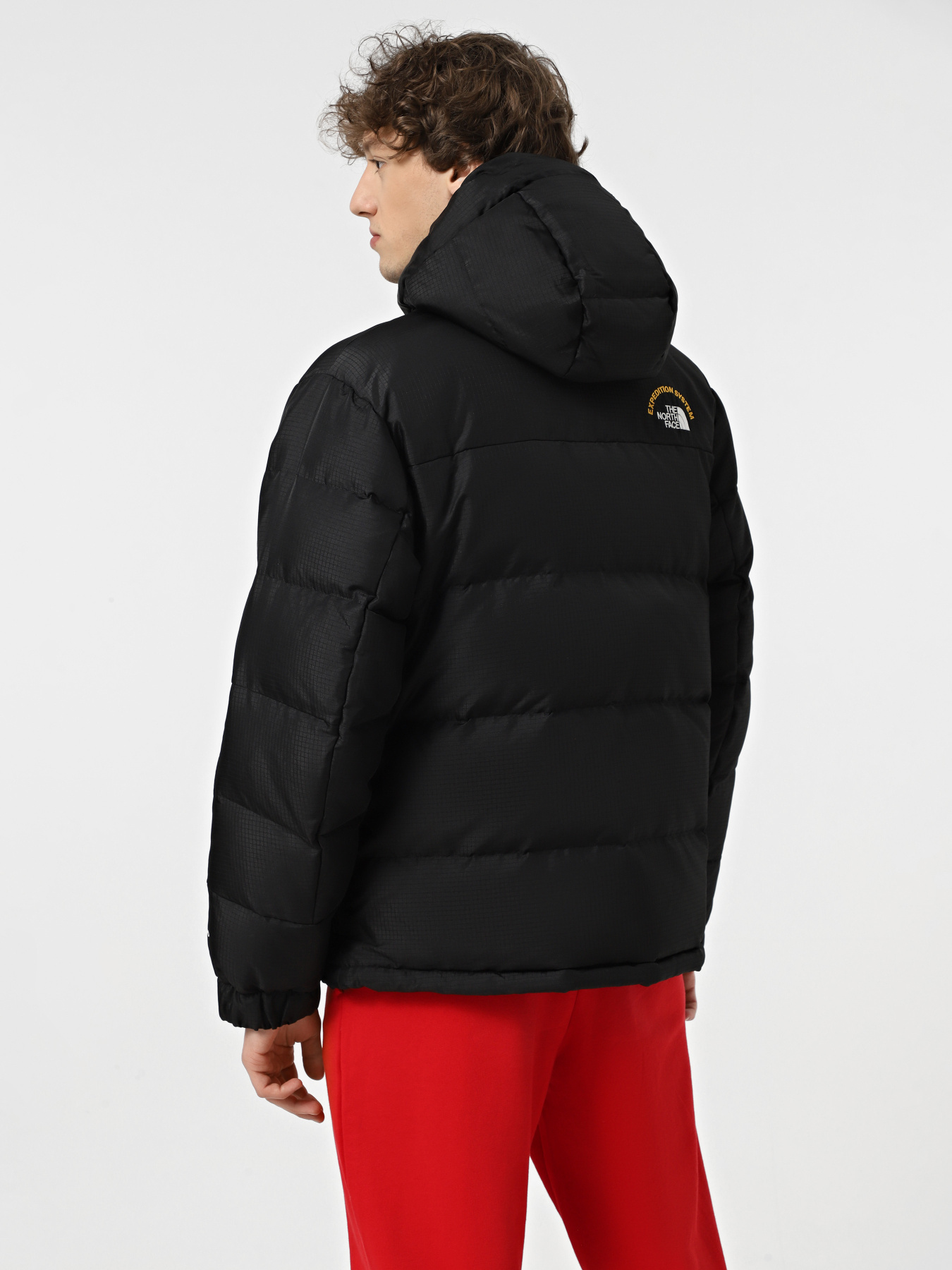 Зимняя куртка The North Face Hmlyn 30 Anniversary модель NF0A88XEJK31 Фото