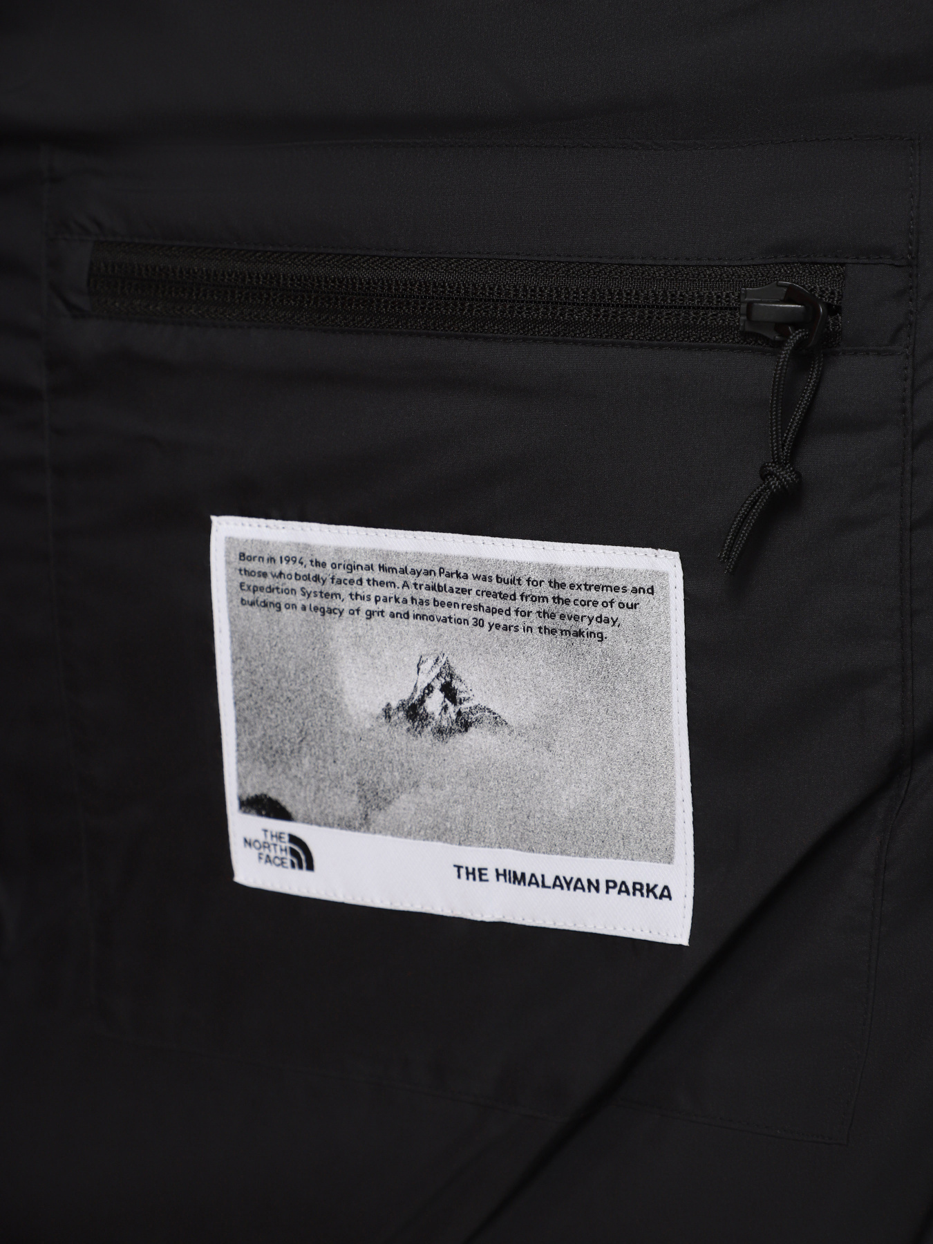 Зимняя куртка The North Face Hmlyn 30 Anniversary модель NF0A88XEJK31 Фото