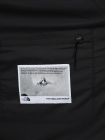 Зимова куртка The North Face Hmlyn 30 Anniversary Модель NF0A88XE1OA1 Фото