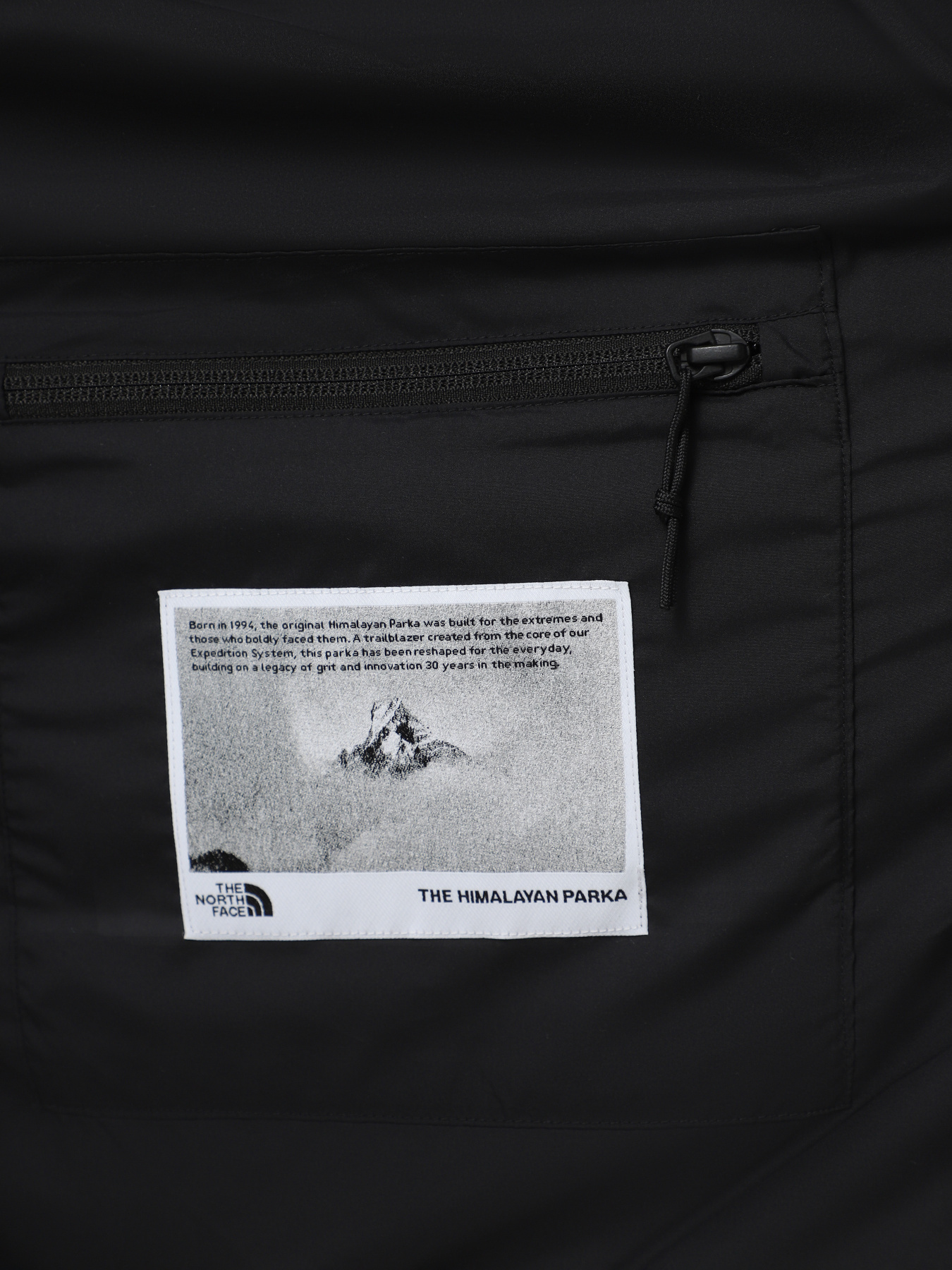 Зимова куртка The North Face Hmlyn 30 Anniversary модель NF0A88XE1OA1 Фото