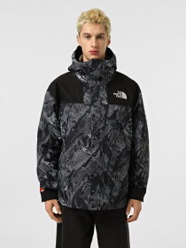 Ветровка The North Face Mountain Mono модель NF0A88XF6OG1 Фото