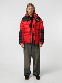 Зимова куртка The North Face Monterosa Insulated модель NF0A89EG6821 Фото