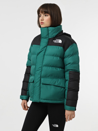 Зелений - Зимова куртка The North Face Monterosa Insulated