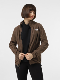 Демісезонна куртка The North Face Evolve II Triclimate модель NF00CG569IF1 Фото