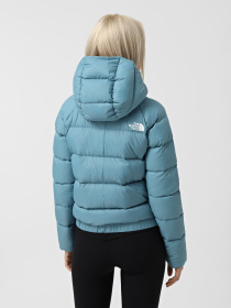 Пуховик The North Face Hyalite модель NF0A3Y4R1OM1 Фото