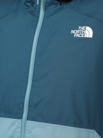 Демисезонная куртка The North Face Millerton Insulated модель NF0A3YFI5FO1 Фото