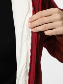 Зимова куртка The North Face Inlux Triclimate модель NF0A4SVJ7WI1 Фото