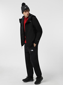 Куртки и дубленки The North Face Carto Triclimate 3-in-1 модель NF0A5IWI4H01 Фото