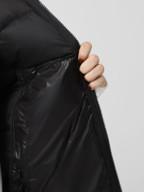 Жилет з утеплювачем The North Face Hyalite модель NF0A7SXE4H01 Фото