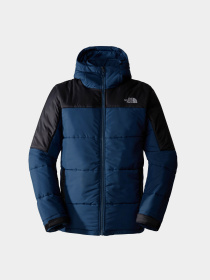 Зимова куртка The North Face Circular модель NF0A7ZIUB0B1 Фото