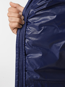 Демісезонна куртка The North Face Summit Breithorn Hooded Down модель NF0A87ZM5NO1 Фото