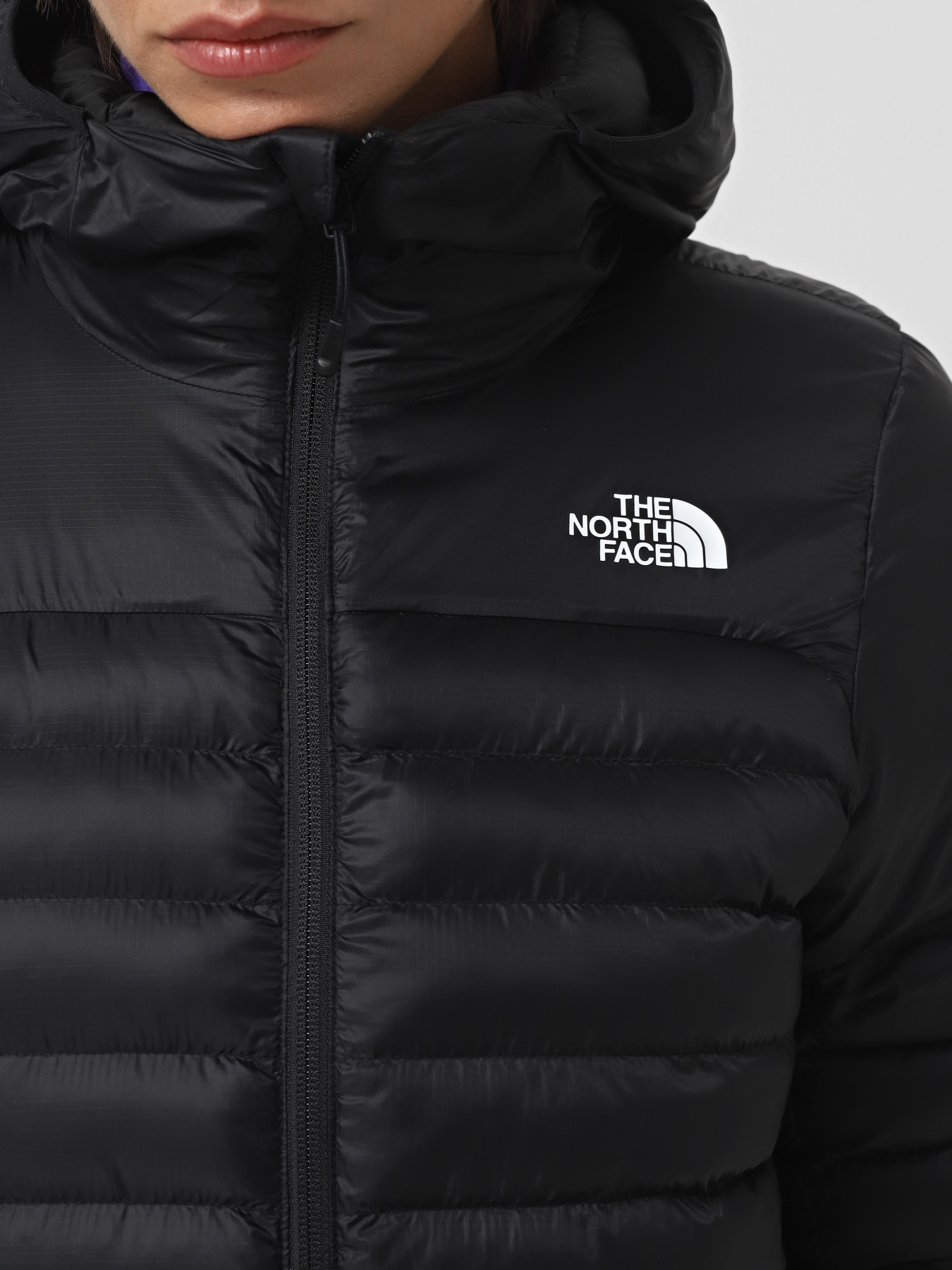 Демисезонная куртка The North Face Terra Peak модель NF0A88TUJK31 Фото