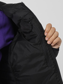 Демисезонная куртка The North Face Terra Peak модель NF0A88TUJK31 Фото