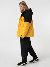 Демисезонная куртка The North Face DryVent™ Mono Triclimate 3-in-1 модель NF0A88WAZU31 Фото