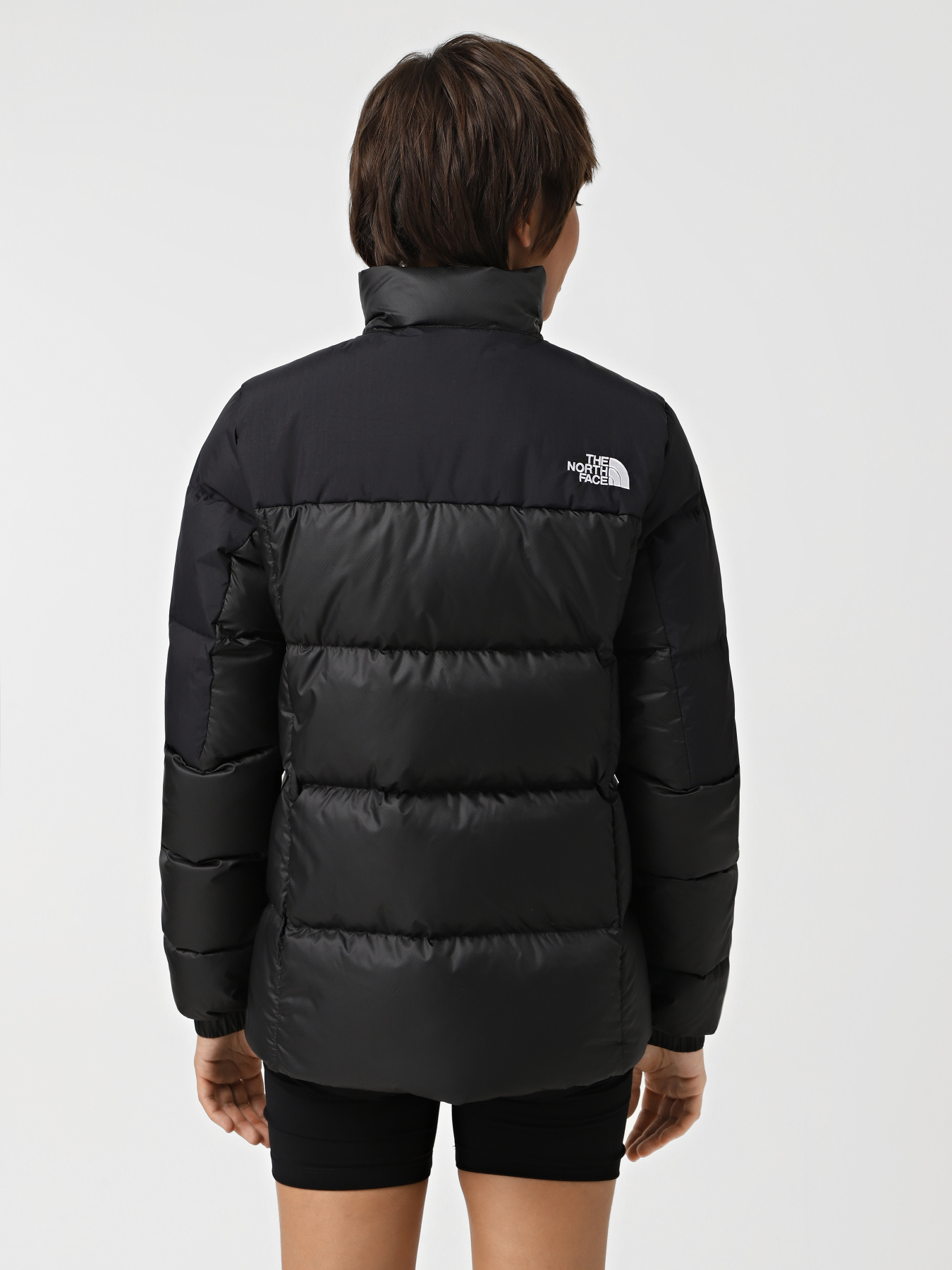 Пуховик The North Face Diablo Down 2.0 модель NF0A8990PH51 Фото