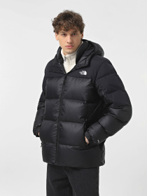 Пуховик The North Face Diablo Down модель NF0A8992PH51 Фото