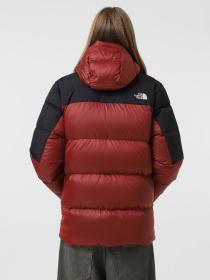 Пуховик The North Face Diablo Down модель NF0A899290O1 Фото