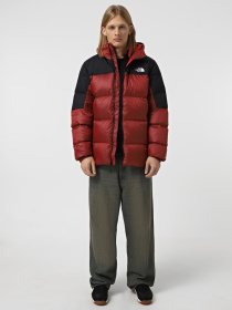 Пуховик The North Face Diablo Down модель NF0A899290O1 Фото