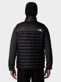 Утепленный жилет The North Face Terra Peak модель NF0A89VCJK31 Фото