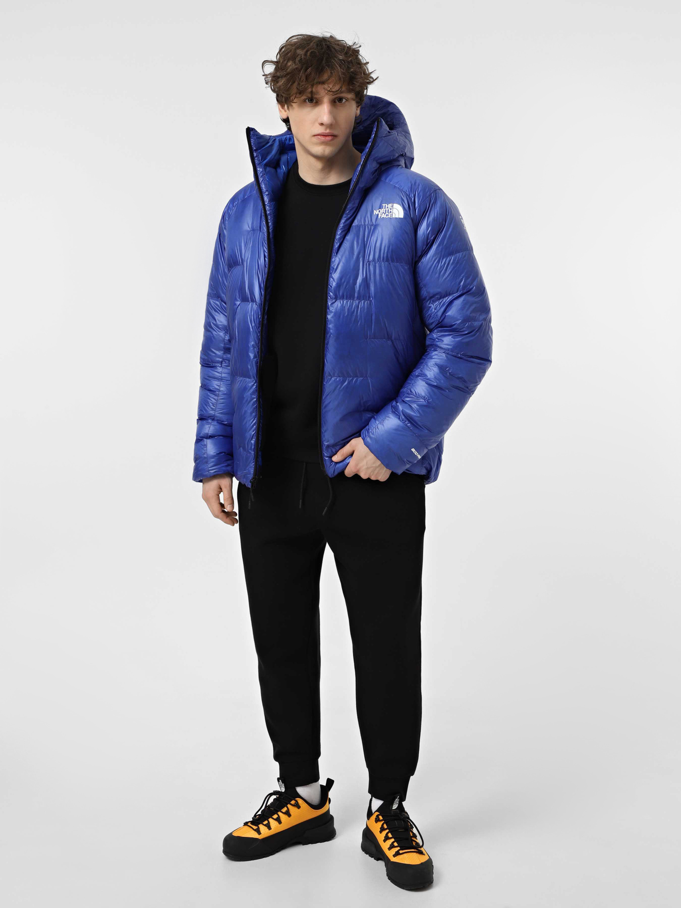 Пуховик The North Face Summit Pumori модель NF0A8AK5CZ61 Фото