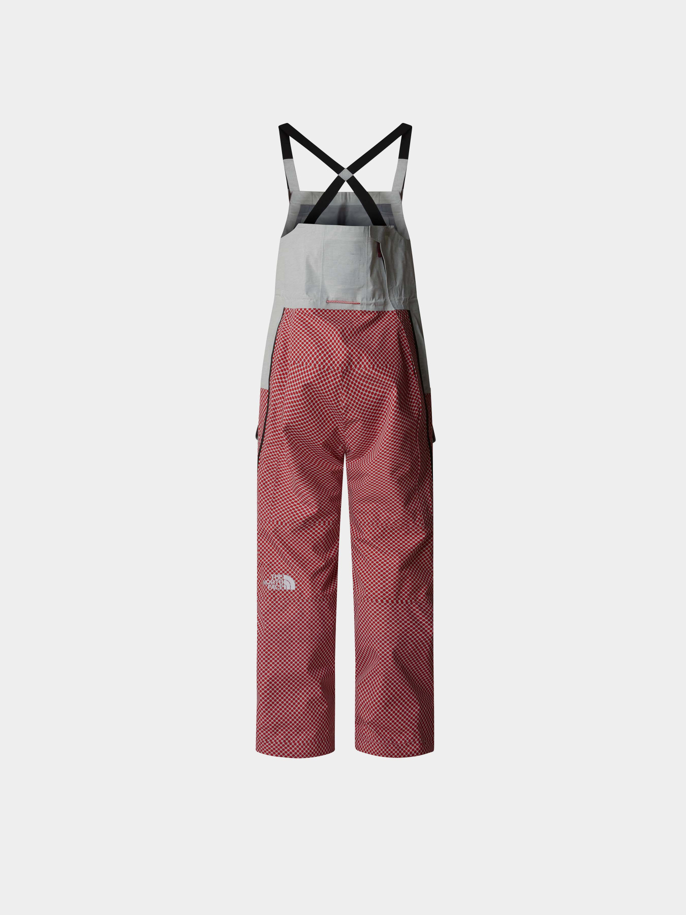 Комбинезон с утеплителем The North Face A68-A Dryvent Mono Shell Bib модель NF0A87VF9IB1 Фото