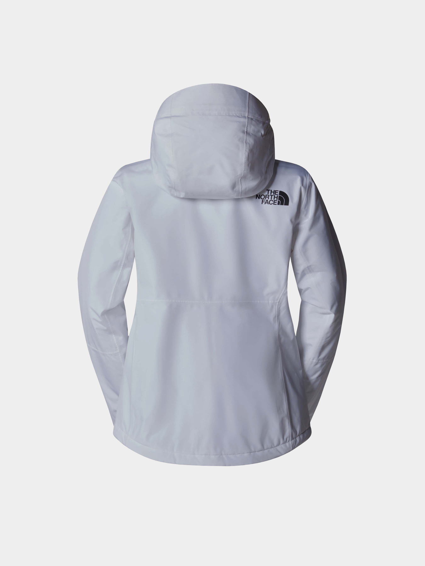 Горнолыжная куртка The North Face Descendit модель NF0A87XFFN41 Фото