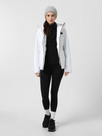 Горнолыжная куртка The North Face Descendit модель NF0A87XFFN41 Фото