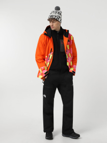 Лыжные штаны The North Face Chakal модель NF0A87Y7JK31 Фото