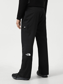 Лыжные штаны The North Face Chakal модель NF0A87Y7JK31 Фото