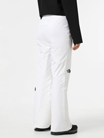 Лыжные штаны The North Face Descendit модель NF0A87ZZFN41 Фото