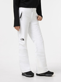 Лыжные штаны The North Face Descendit модель NF0A87ZZFN41 Фото