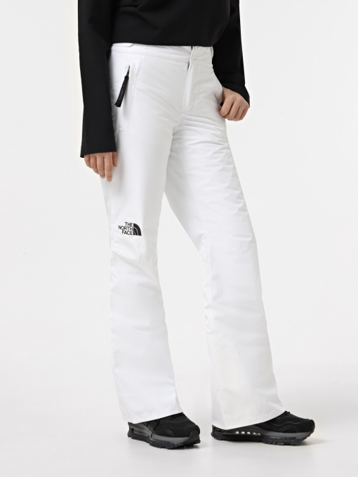 Аутдор и горнолыжные штаны The North Face Descendit модель NF0A87ZZFN41 Фото