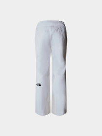 Аутдор та гірськолижні штани The North Face Descendit модель NF0A87ZZFN41 Фото