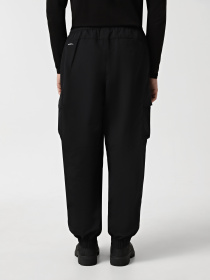 Штаны спортивные The North Face Himalayan Track модель NF0A88XXJK31 Фото