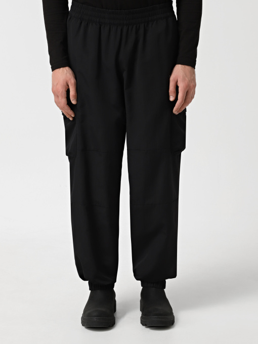 Штаны спортивные The North Face Himalayan Track модель NF0A88XXJK31 Фото