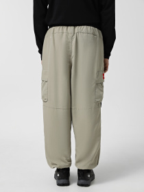 Спортивні штани The North Face Himalayan Track модель NF0A88XX5IF1 Фото