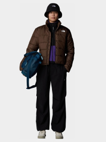 Брюки повседневные The North Face Woven модель NF0A89H1JK31 Фото