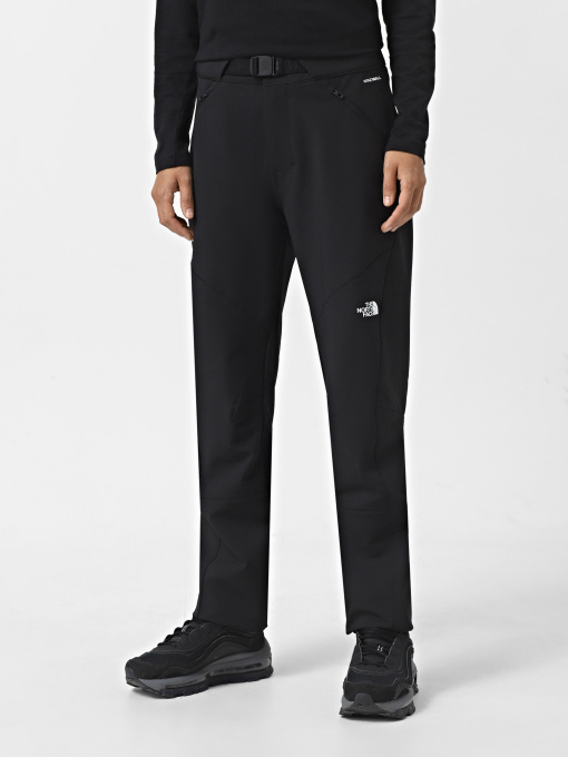 Брюки повседневные The North Face Diablo Reg модель NF0A7Z894H01 Фото