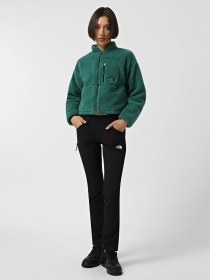 Штаны спортивные The North Face Speedlight модель NF0A7Z8A4H01 Фото