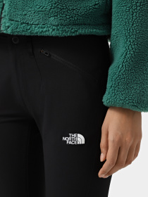 Штаны спортивные The North Face Speedlight модель NF0A7Z8A4H01 Фото