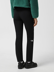 Штаны спортивные The North Face Speedlight модель NF0A7Z8A4H01 Фото