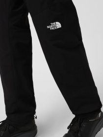 Штаны спортивные The North Face Exploration Reg модель NF0A7Z944H01 Фото