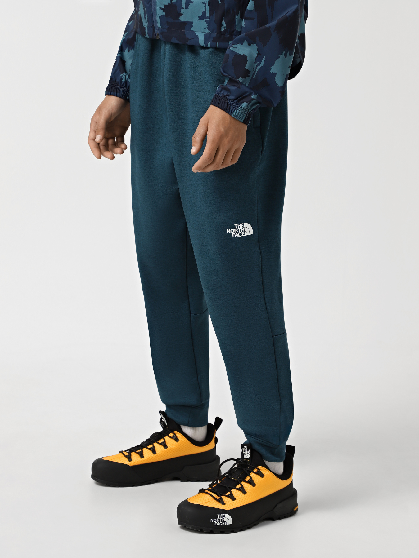 Штаны спортивные The North Face Reaxion модель NF0A7Z9P2LO1 Фото