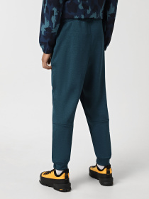 Штаны спортивные The North Face Reaxion модель NF0A7Z9P2LO1 Фото