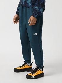 Штаны спортивные The North Face Reaxion модель NF0A7Z9P2LO1 Фото