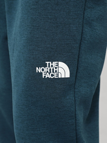 Спортивні штани The North Face Reaxion модель NF0A7Z9P2LO1 Фото